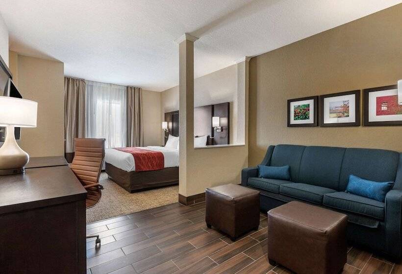 套房, Comfort Inn & Suites Cedar Rapids Cid Eastern Iowa Airport