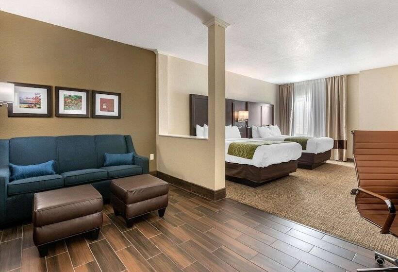 Люкс, Comfort Inn & Suites Cedar Rapids Cid Eastern Iowa Airport