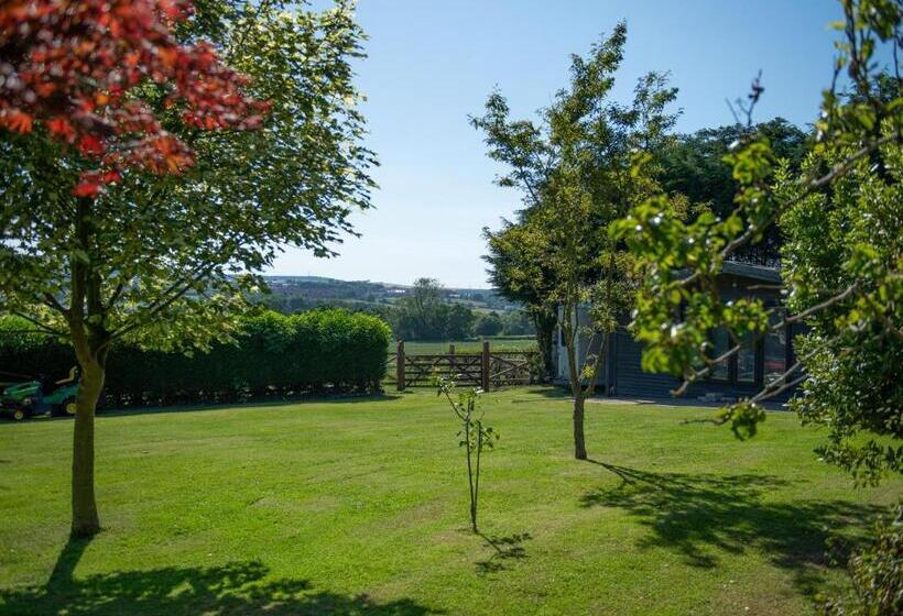 غرفة سوبيريور مطلّة علي الحديقة, My Way Guest House