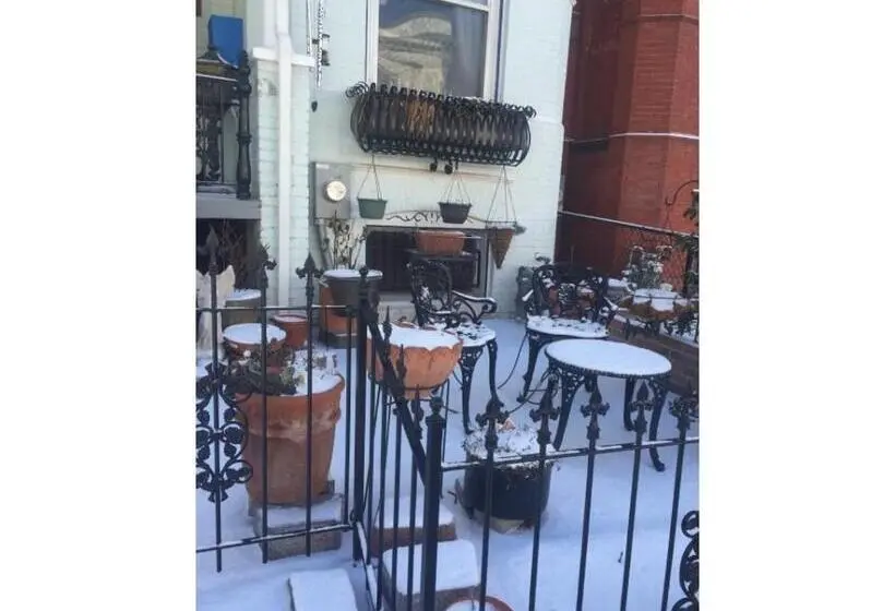 バスルーム共有のシングルスタンダード, Ledroit Park Renaissance Bed And Breakfast