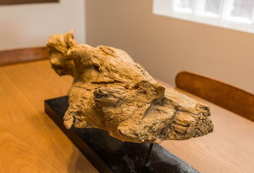 חדר סטנדרט, Villa Dubois Guest House