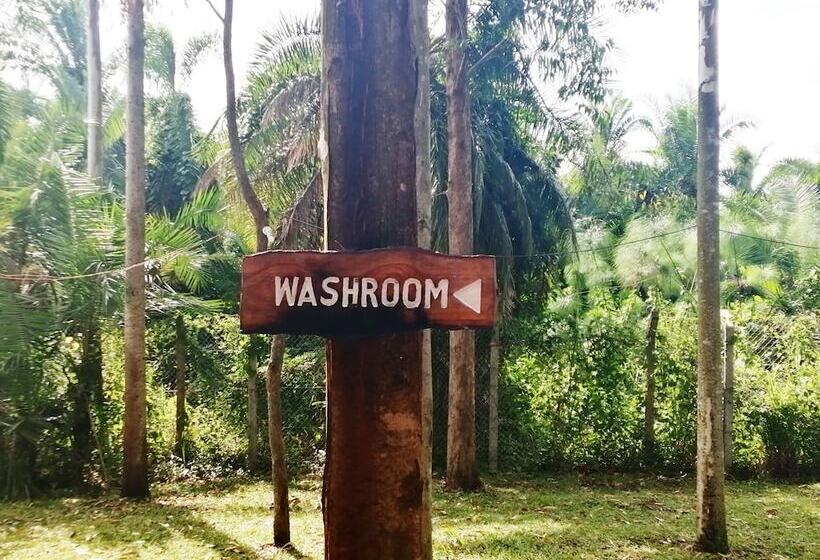 تختخواب در اتاق مشترک, Murchison Backpackers