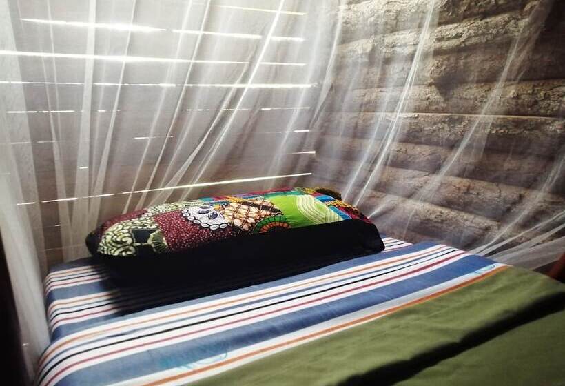 تختخواب در اتاق مشترک, Murchison Backpackers