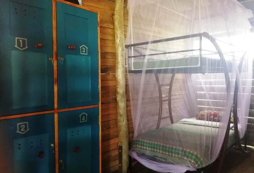 تختخواب در اتاق مشترک, Murchison Backpackers