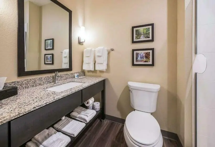 キングサイズベッドのスイートルーム, Comfort Suites Marysville Columbus  Northwest
