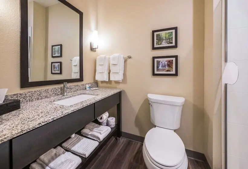 スイート, Comfort Suites Marysville Columbus  Northwest