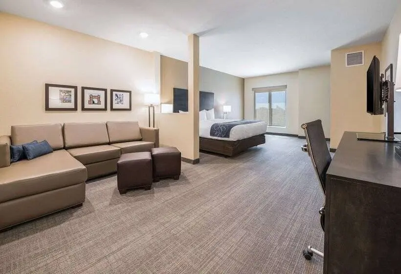 スイート, Comfort Suites Marysville Columbus  Northwest