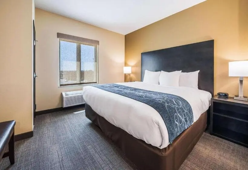 キングサイズベッドのスイートルーム, Comfort Suites Marysville Columbus  Northwest