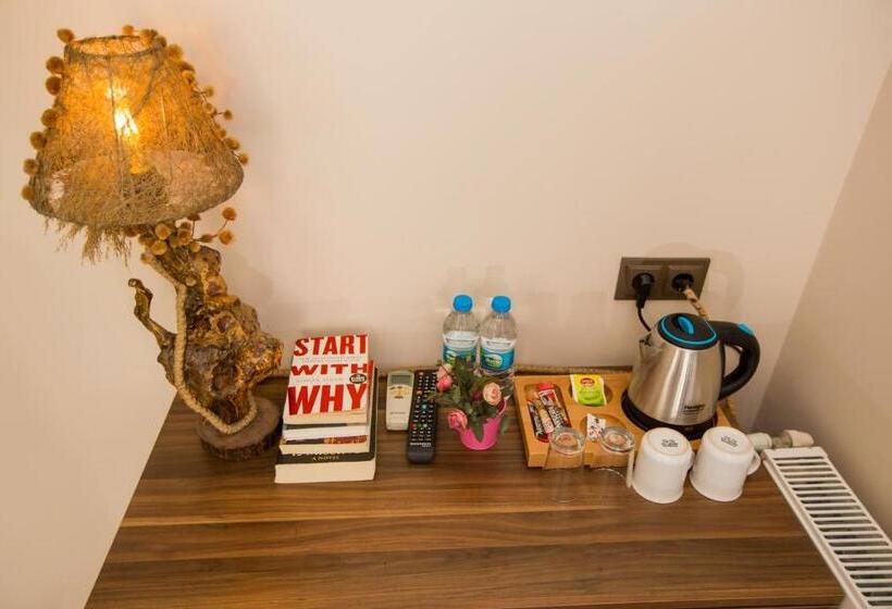 اتاق استاندارد چهار تخته, Corner Garden