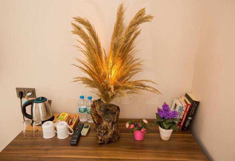 اتاق خانوادگی, Corner Garden