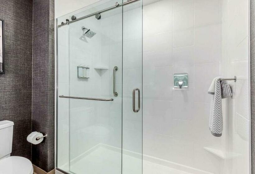 سوئیت با تخت بزرگ, Cambria Hotel Milwaukee Downtown