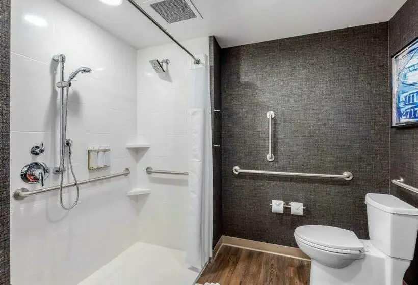 اتاق استاندارد با تخت بزرگ برای معلولان, Cambria Hotel Milwaukee Downtown