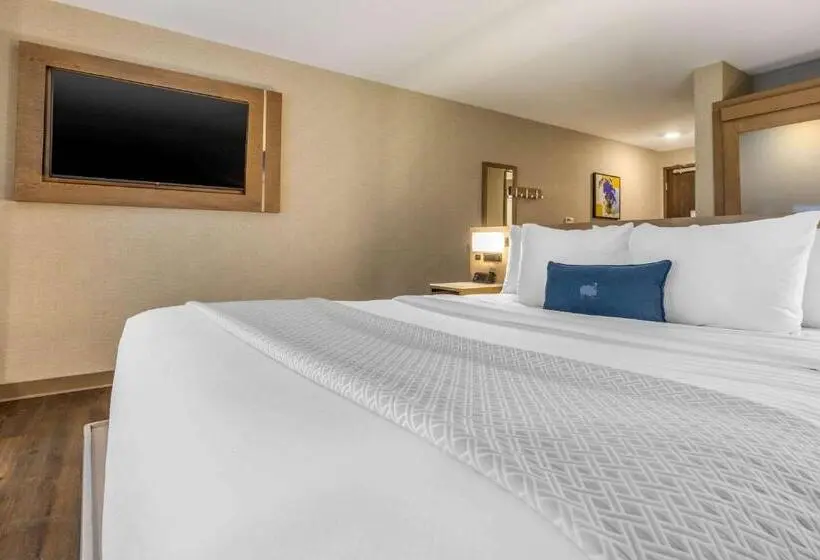 اتاق استاندارد با تخت بزرگ, Cambria Hotel Milwaukee Downtown