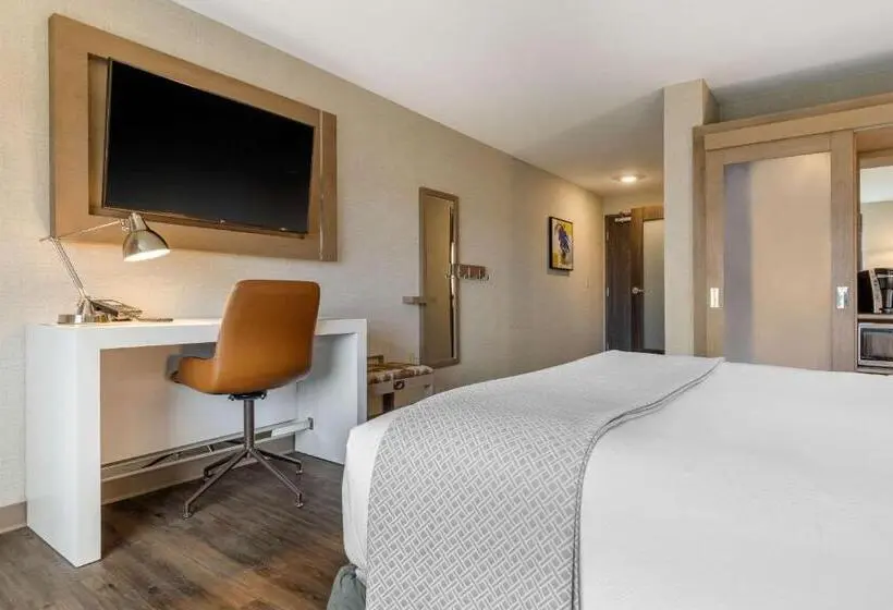 اتاق استاندارد با تخت بزرگ برای معلولان, Cambria Hotel Milwaukee Downtown