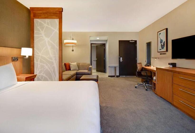 اتاق استاندارد با تخت بزرگ, Hyatt Place Huntsville   Research Park   Redstone