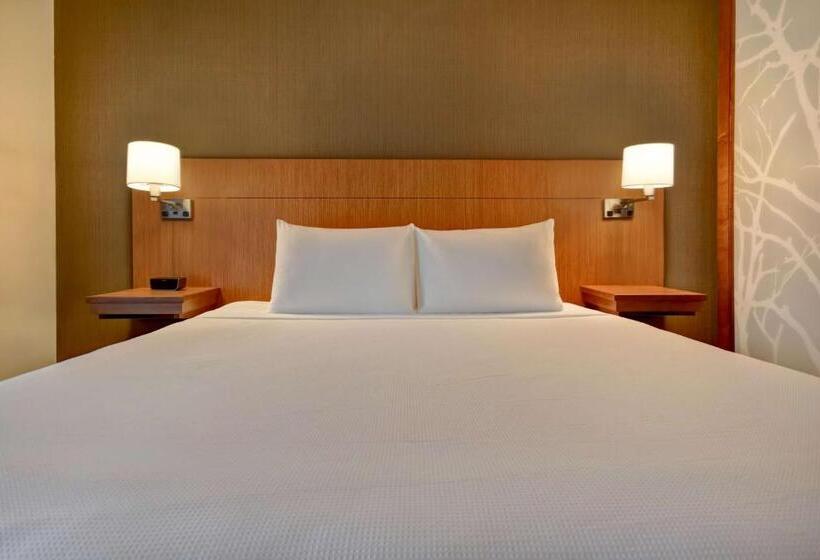 اتاق استاندارد با تخت بزرگ, Hyatt Place Huntsville   Research Park   Redstone