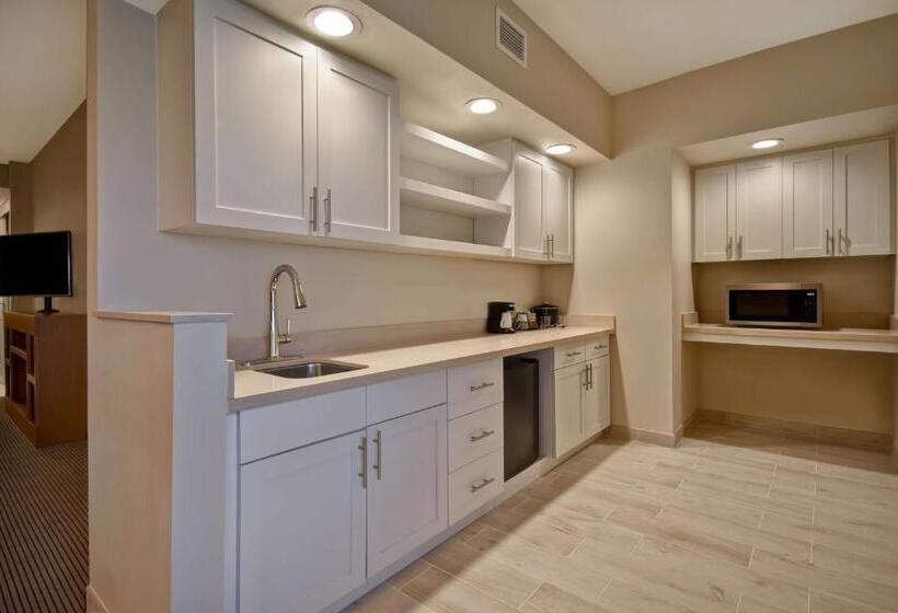 سوئیت با تخت بزرگ, Hyatt Place Huntsville   Research Park   Redstone