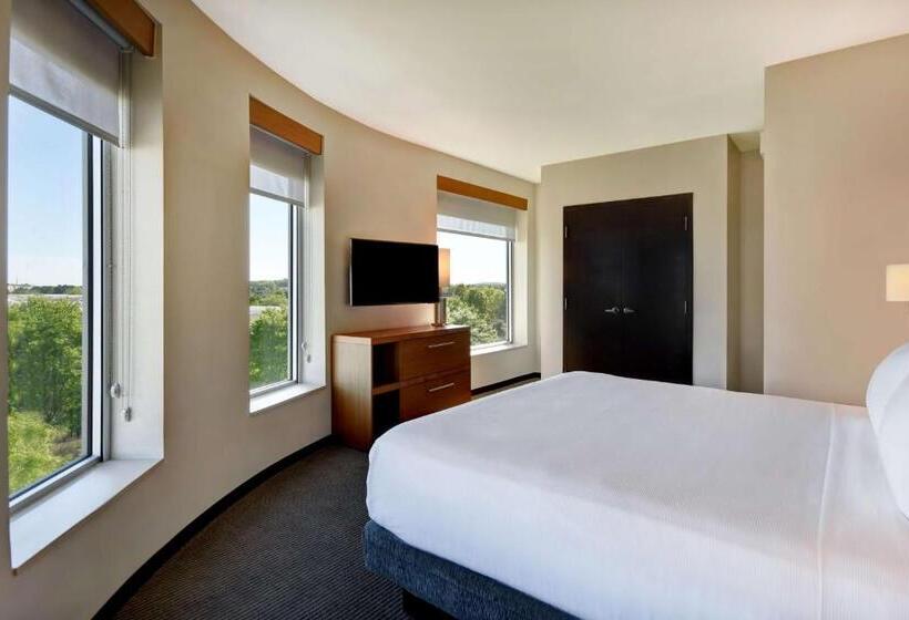 سوئیت با تخت بزرگ, Hyatt Place Huntsville   Research Park   Redstone