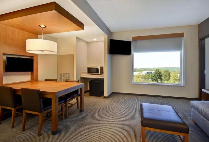 سوئیت با تخت بزرگ, Hyatt Place Huntsville   Research Park   Redstone