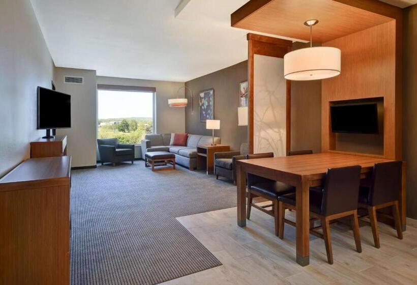 سوئیت با تخت بزرگ, Hyatt Place Huntsville   Research Park   Redstone