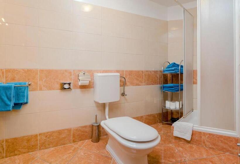 침실 1개 아파트, Apartments Vila Adrijana & Fitness Studio Wolf Bv