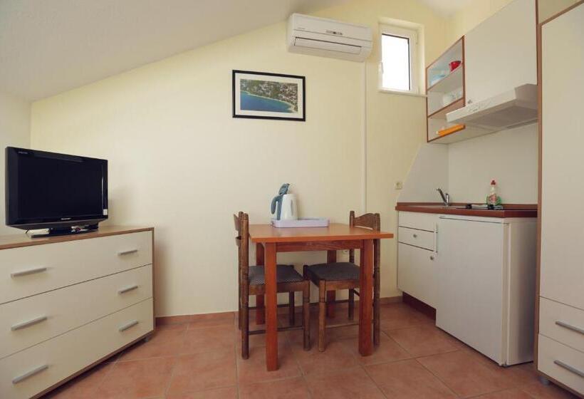 استودیوی استاندارد, Apartments Vila Adrijana & Fitness Studio Wolf Bv