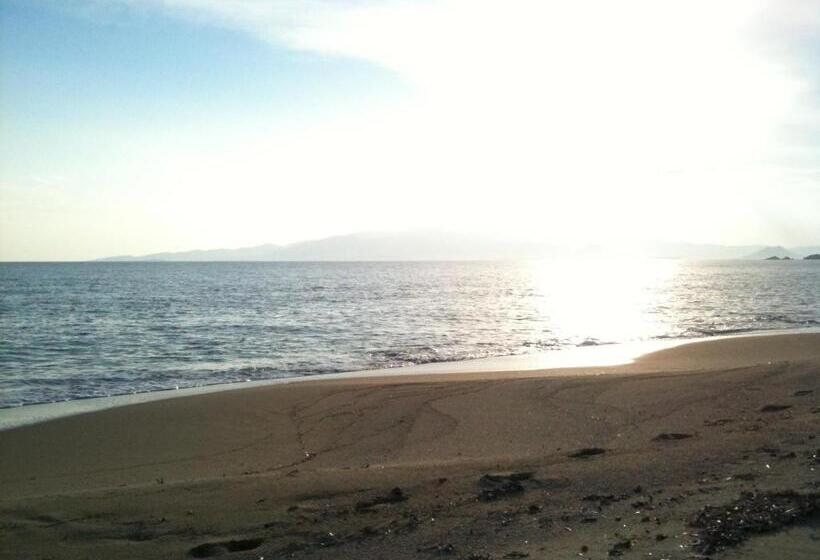 סטודיו משפחתי, Dimitra Studios