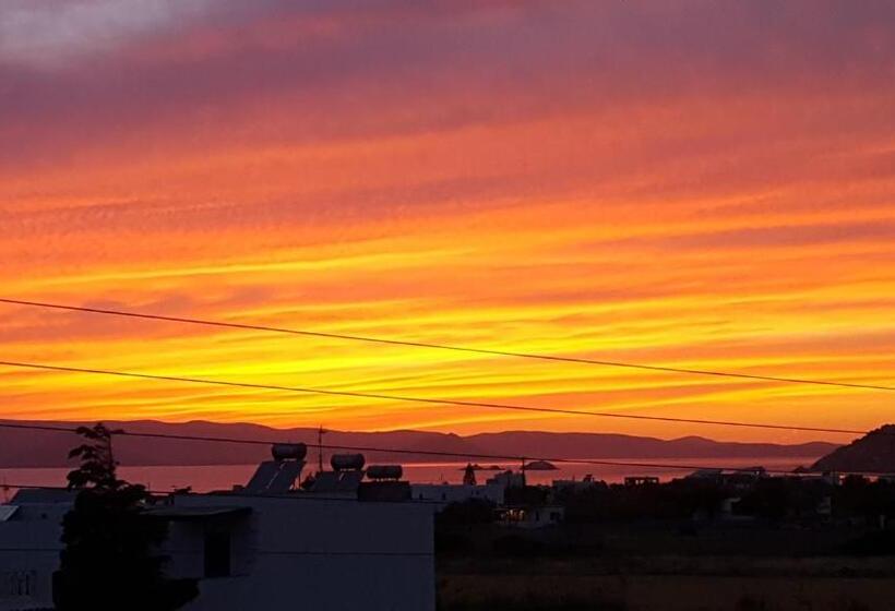 סטודיו סטנדרטי נוף לים, Dimitra Studios