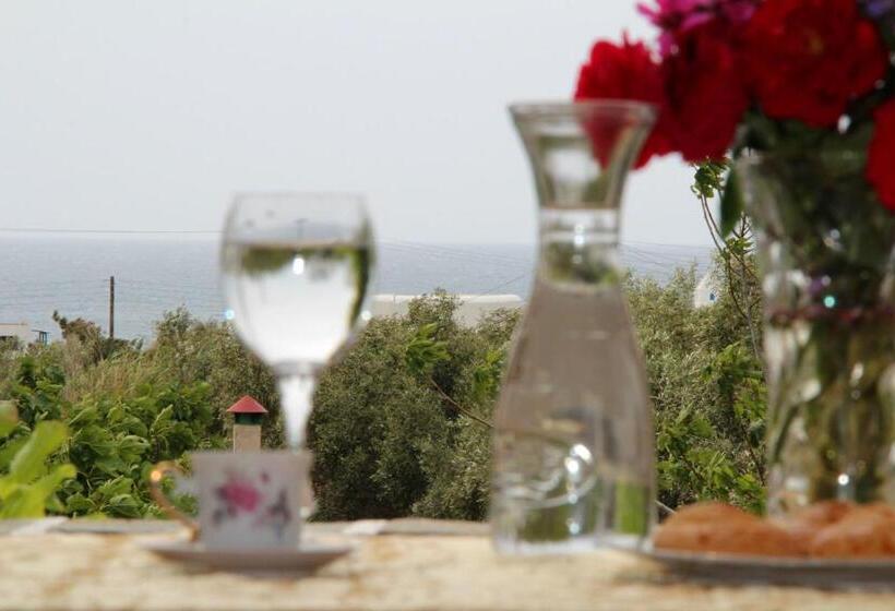 סטודיו סטנדרטי נוף לים, Dimitra Studios