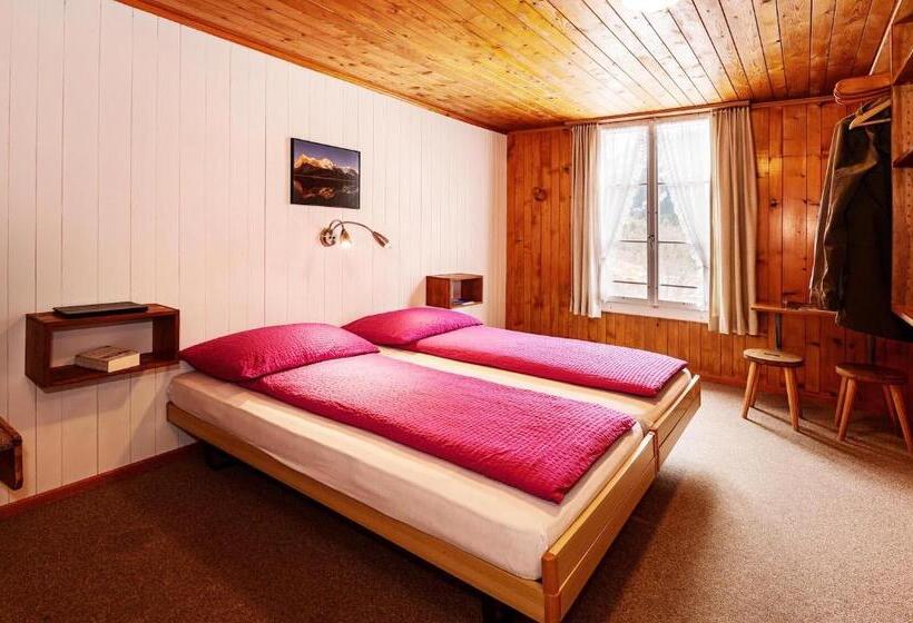 Standaardkamer met Gedeelde Badkamer, Alpenblick