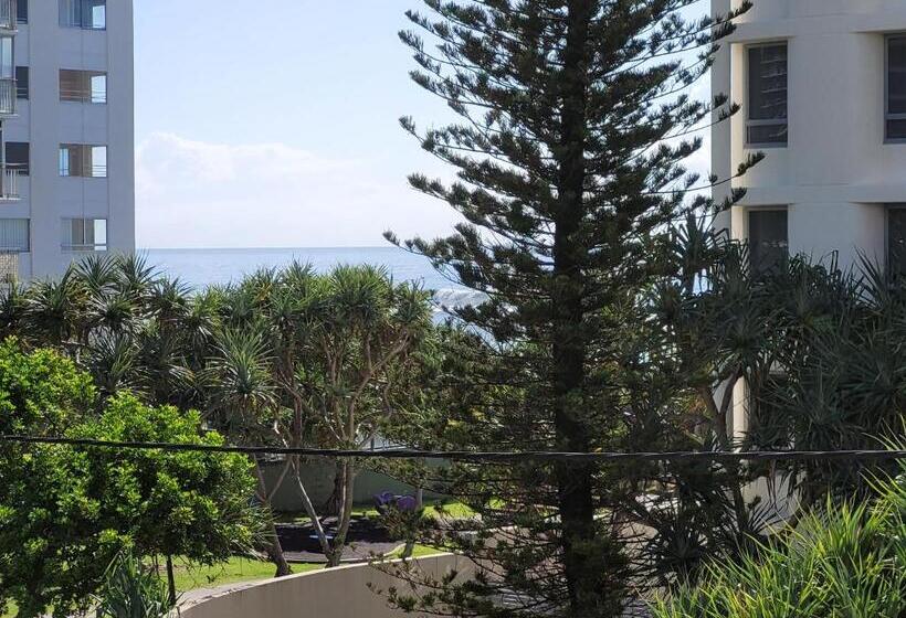 شقة ديلوكس غرفة واحدة, Surfers Chalet