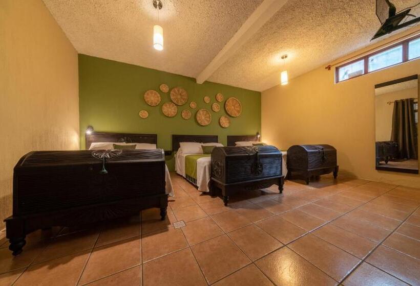 اتاق استاندارد یک نفره, 7 Orejas