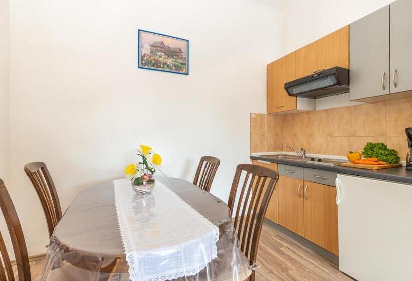 带1个卧室的公寓, Apartments Orbanić