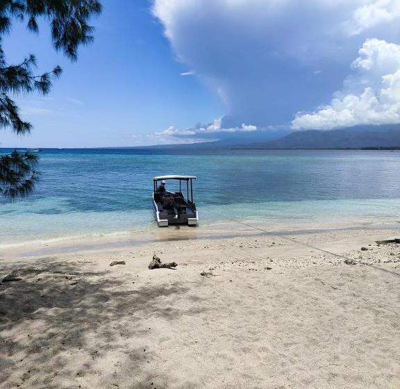 标准间, Alibaba Bungalows