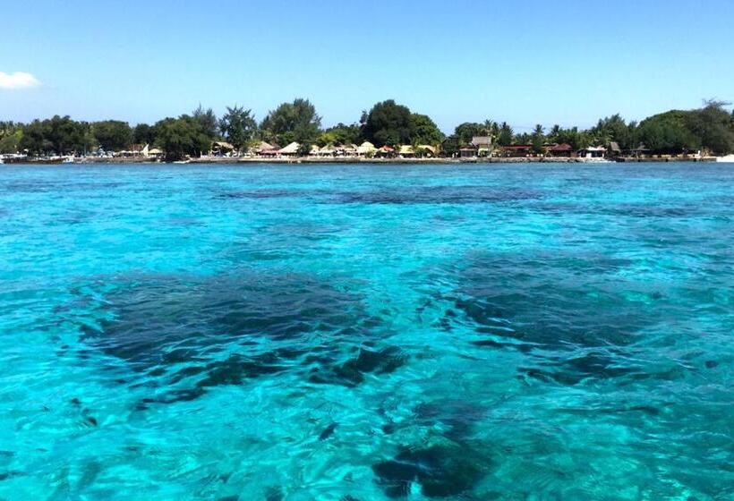 高级套房, Alibaba Bungalows