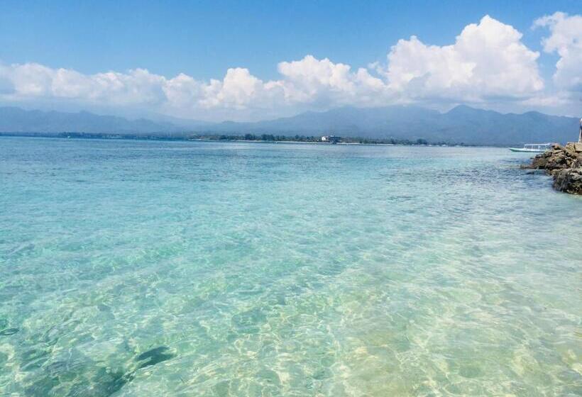 家庭套房, Alibaba Bungalows