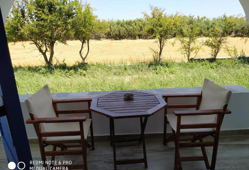 חדר אקונומי, Anna Studios