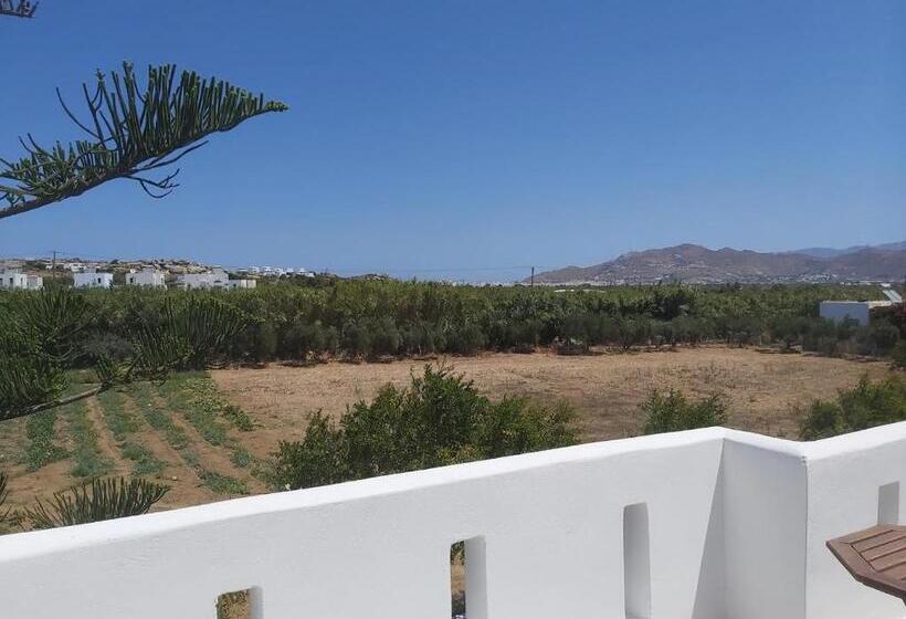 חדר סטודיו סטנדרד, Anna Studios