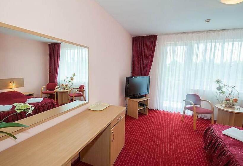 חדר סטנדרט, Millennium Health Resort & Spa