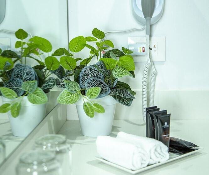 Business Kamer, Pance 122 Wellness Spa