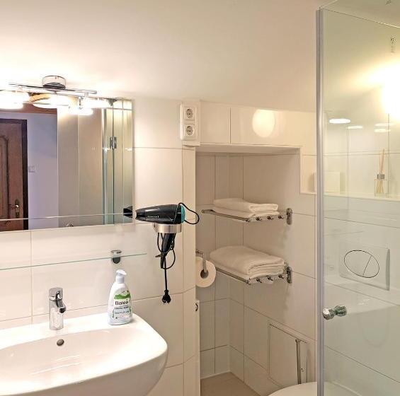 山の見えるジュニアスイート, Aparthotel Pan Haus