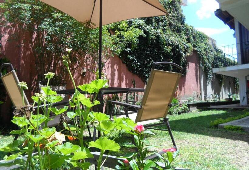 اتاق استاندارد, Casa Landivar