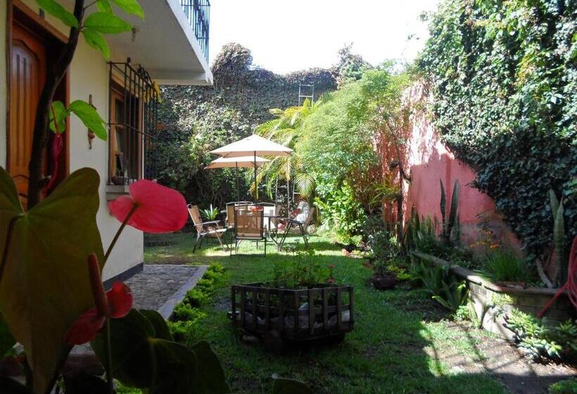 اتاق استاندارد با سرویس بهداشتی مشترک, Casa Landivar