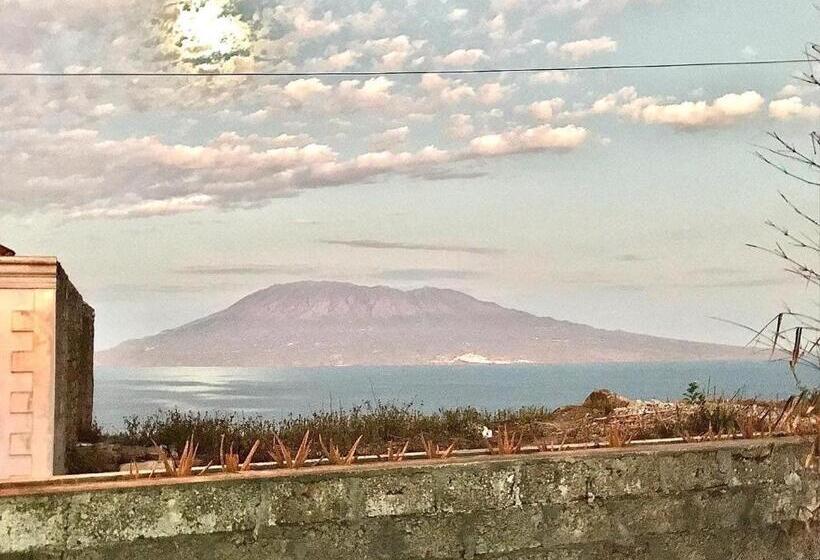 اتاق استاندارد سه نفره, Djabraba S Eco Lodge