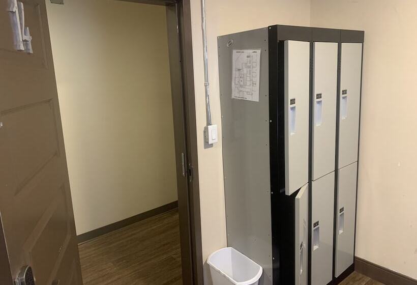 تختخواب در اتاق مشترک, Party Hostel The Canmore Hotel Hostel