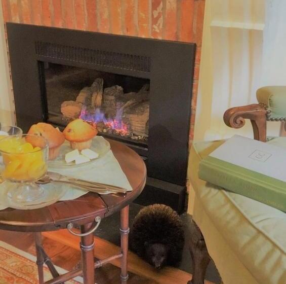 חדר סטנדרט, Old Ivy Walk