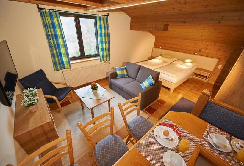 스탠다드 스튜디오, Apartment Panorama