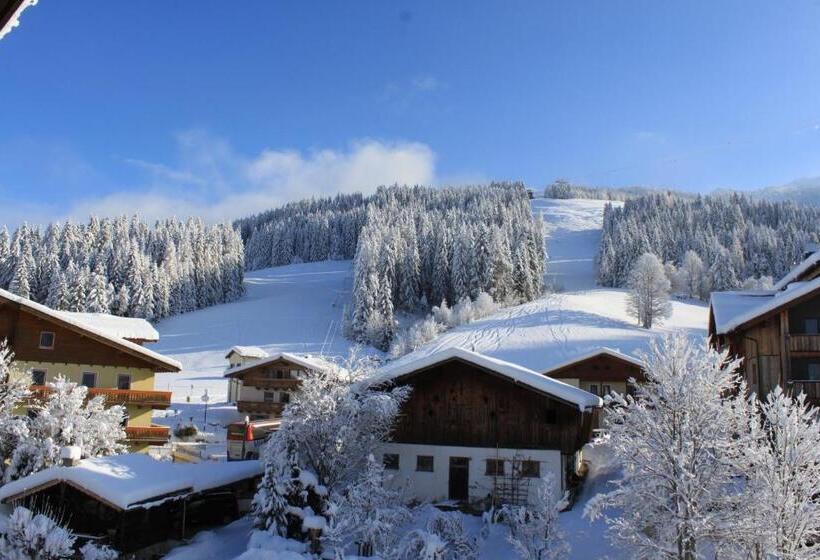 스탠다드 발코니 스튜디오, Apartment Panorama