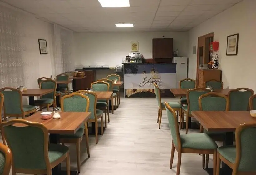 スタンダードシングルルーム, Pension Babenberger