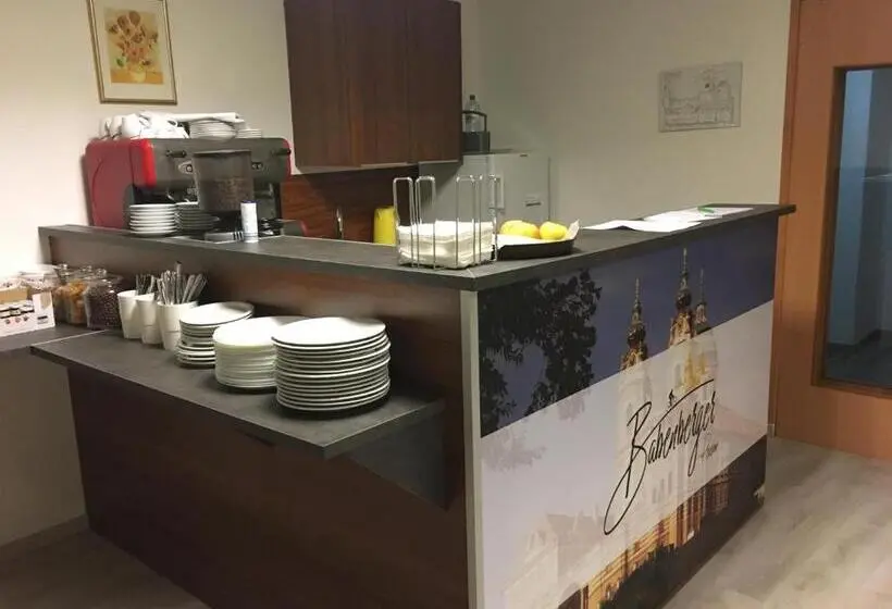 スタンダードシングルルーム, Pension Babenberger